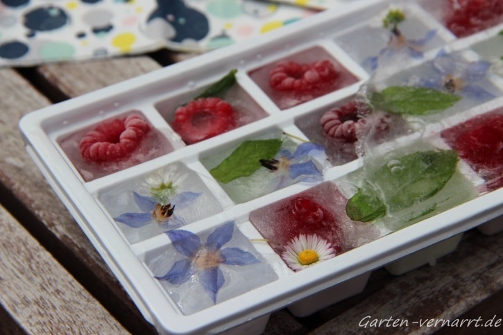 Eiswürfel gefüllt mit Himbeeren, Borretschblüten und Minze